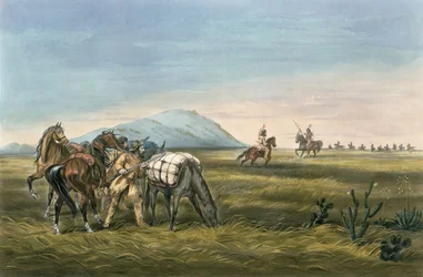 緊急事態に備えたパーリー、1866